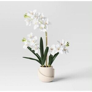 Luxe Orchid in Geometric Pot - Threshold™ Artificial Plant Décor NEW